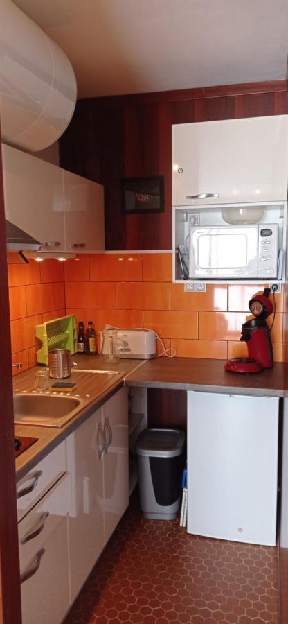 Appartement St Lary Soulan Pied Des Pistes 圣拉里苏朗 外观 照片